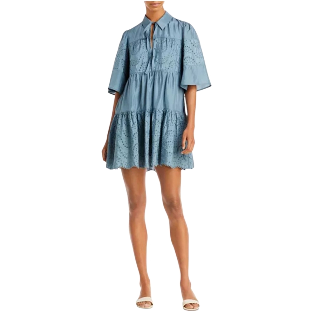 Rebecca Taylor Embroidered A Line Dress 100% Silk Lined Women's 0 Prairie Coquet